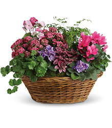 Basket of Blooms from Metropolitan Plant & Flower Exchange, local NJ florist